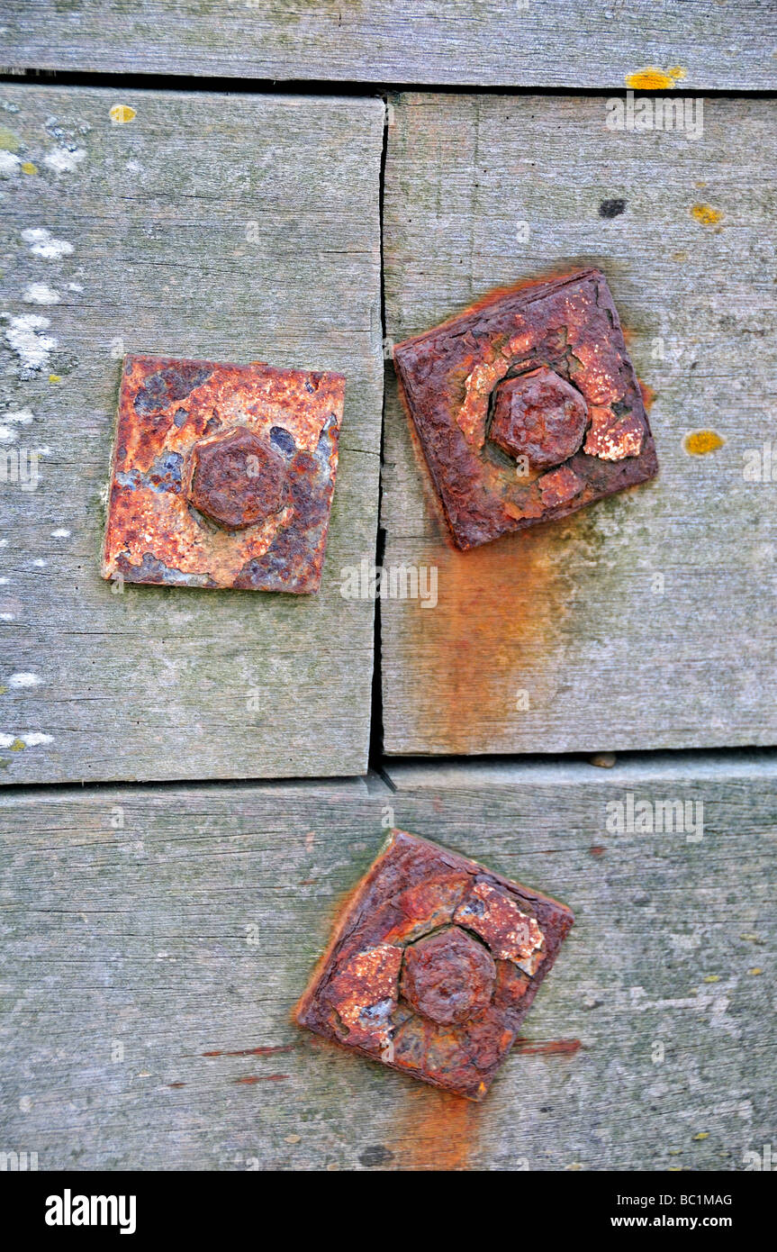 rostige Schrauben am Holz ausgewaschen Stockfoto