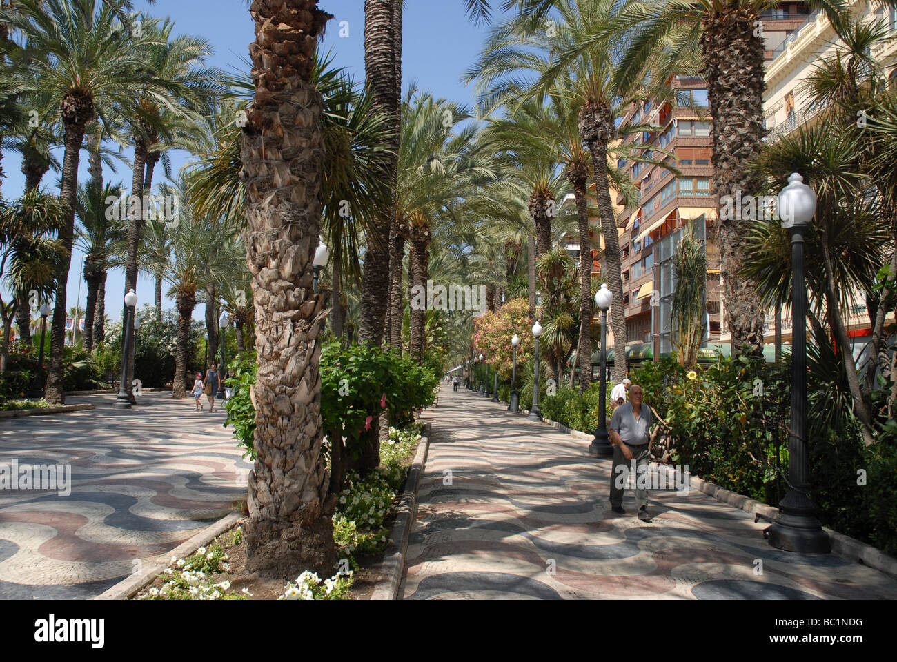 Paseo De La Explanada de España, Alicante, Comunidad Valenciana, Spanien Stockfoto