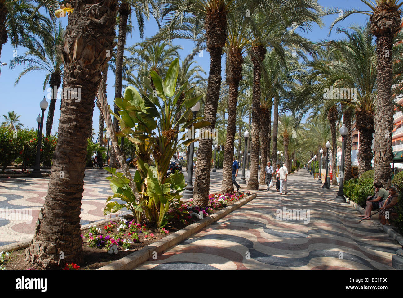 Paseo De La Explanada de España, Alicante, Comunidad Valenciana, Spanien Stockfoto