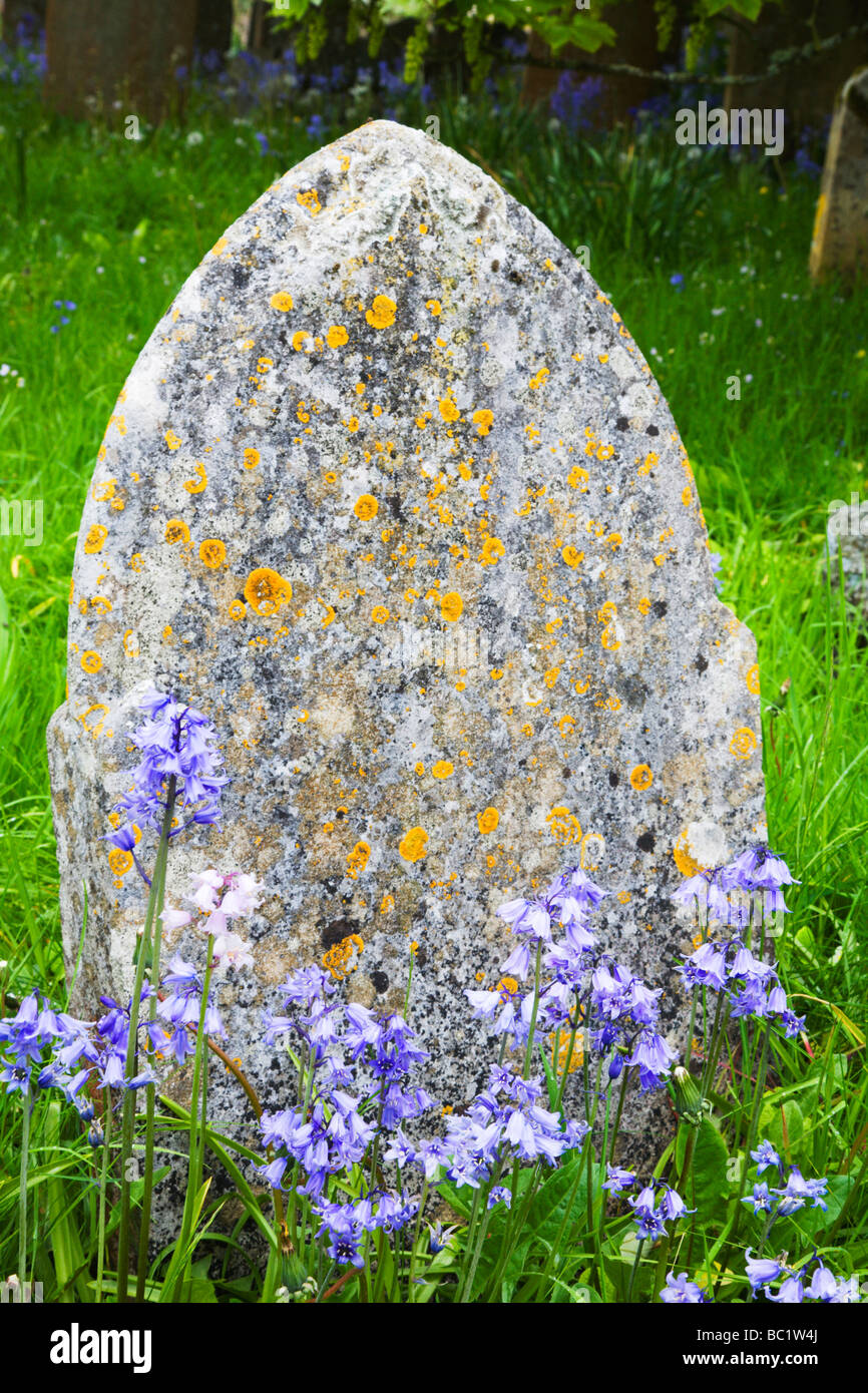 Friedhof an der St. Michaels Kirche Chagford Devon in England Stockfoto