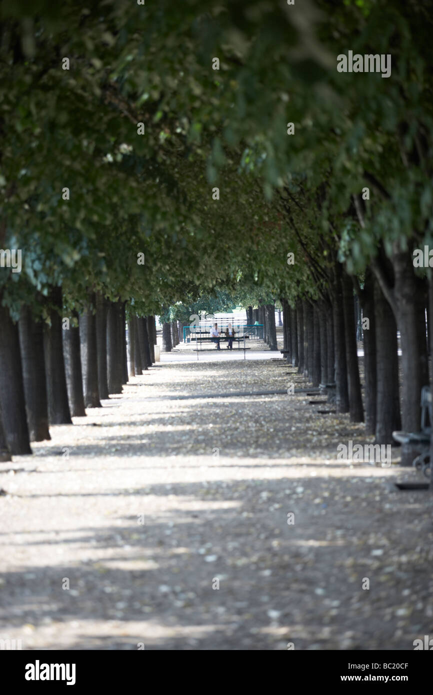 Von Bäumen gesäumten Boulevard, Paris, Frankreich Stockfoto