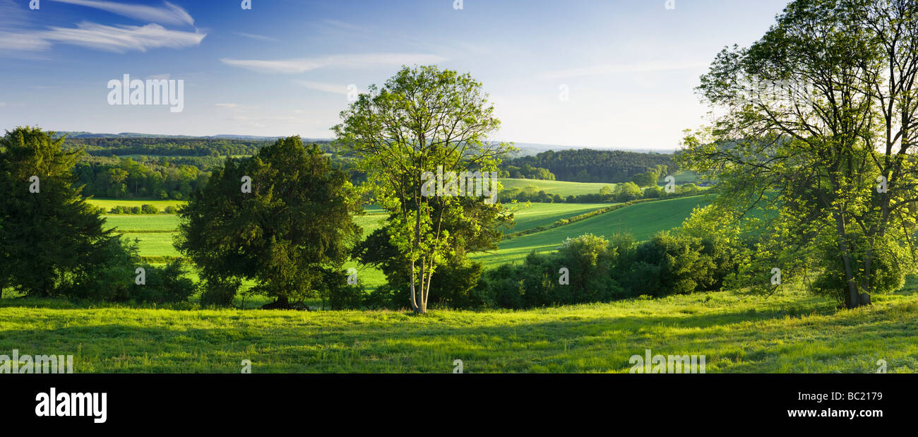 Südlich von North Downs in Newlands Ecke, Surrey, UK anzeigen Stockfoto