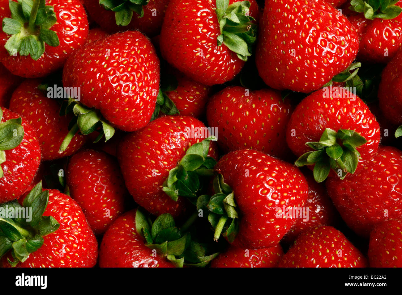 Ein Foto von Erdbeeren Stockfoto