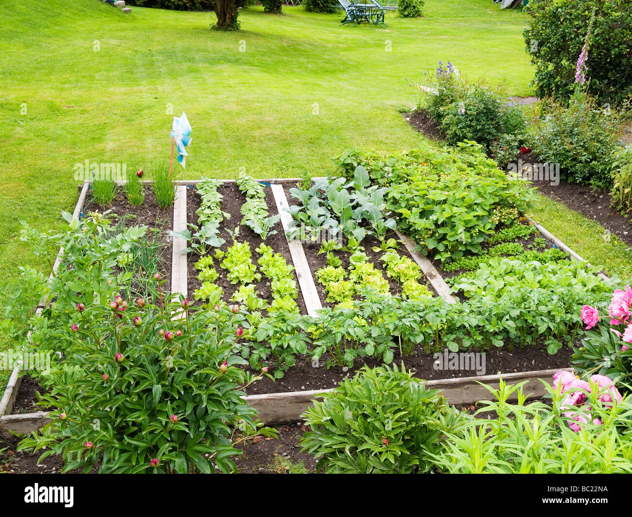Ein kleines Gemüsebeet in einem großen Garten Stockfoto