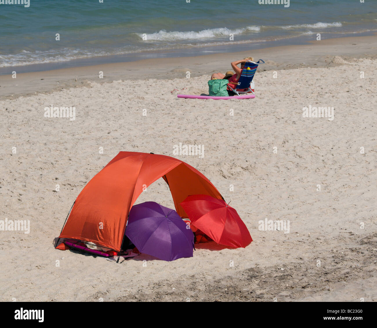 Privates tierheim -Fotos und -Bildmaterial in hoher Auflösung – Alamy