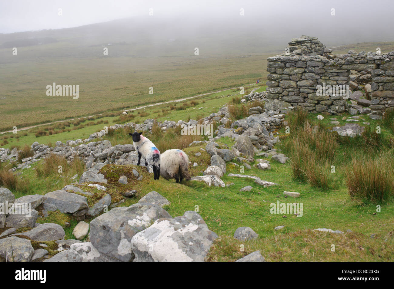 Slievemore Wüstung auf Achill Island im County Mayo Irland mit seinen Rock nach Hause Ruinen Stockfoto