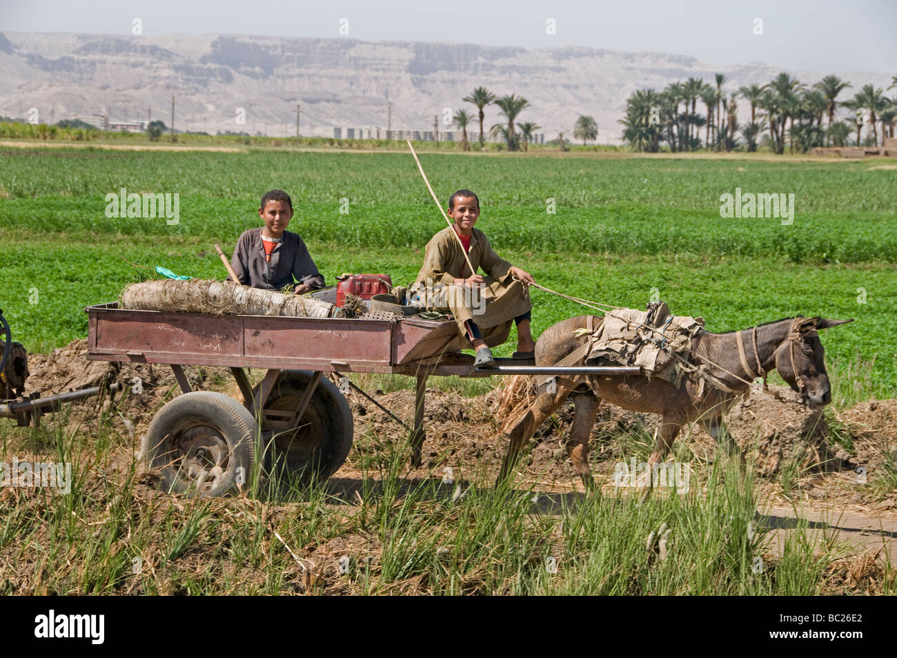 Nile River Ägypten Bauernhof Landwirt Landwirtschaft Feld zwei jungen Eselskarren Stockfoto