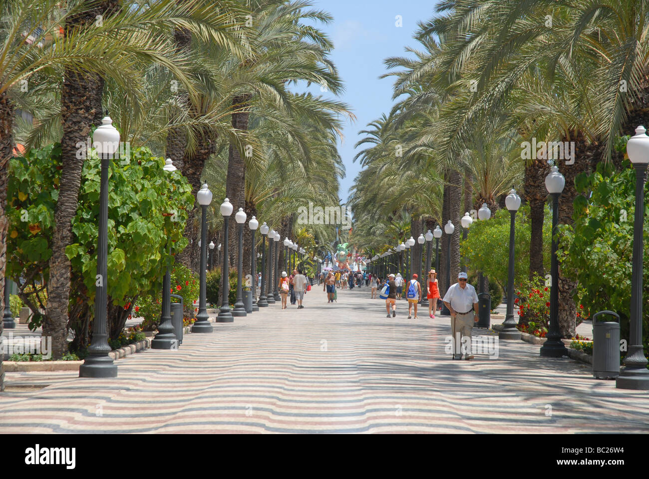 Paseo De La Explanada de España, Alicante, Comunidad Valenciana, Spanien Stockfoto