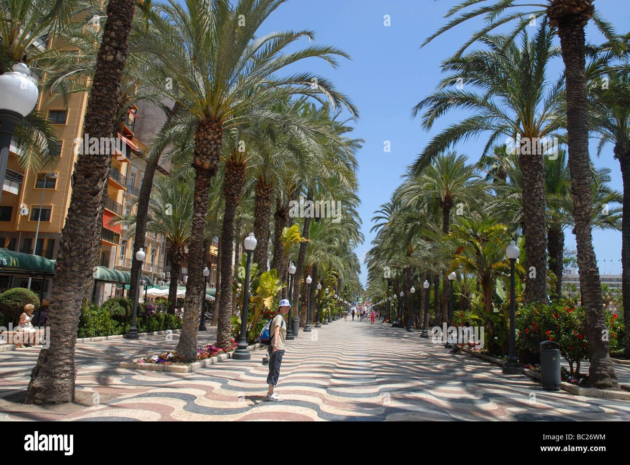 Paseo De La Explanada de España, Alicante, Comunidad Valenciana, Spanien Stockfoto