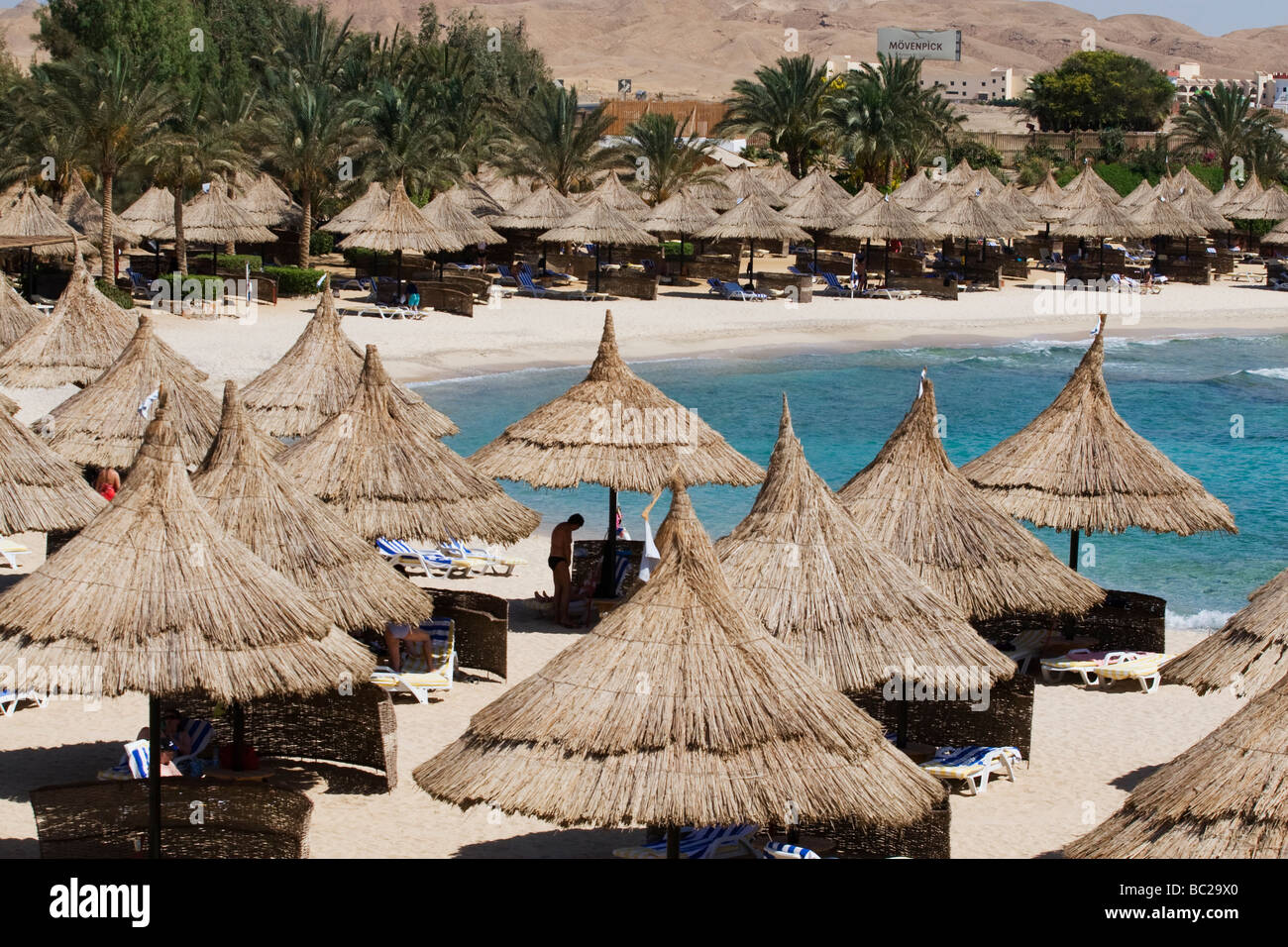 Strohgedeckten Sonnenschirmen auf einem Palm, von Bäumen gesäumten Strand in Ägypten Stockfoto