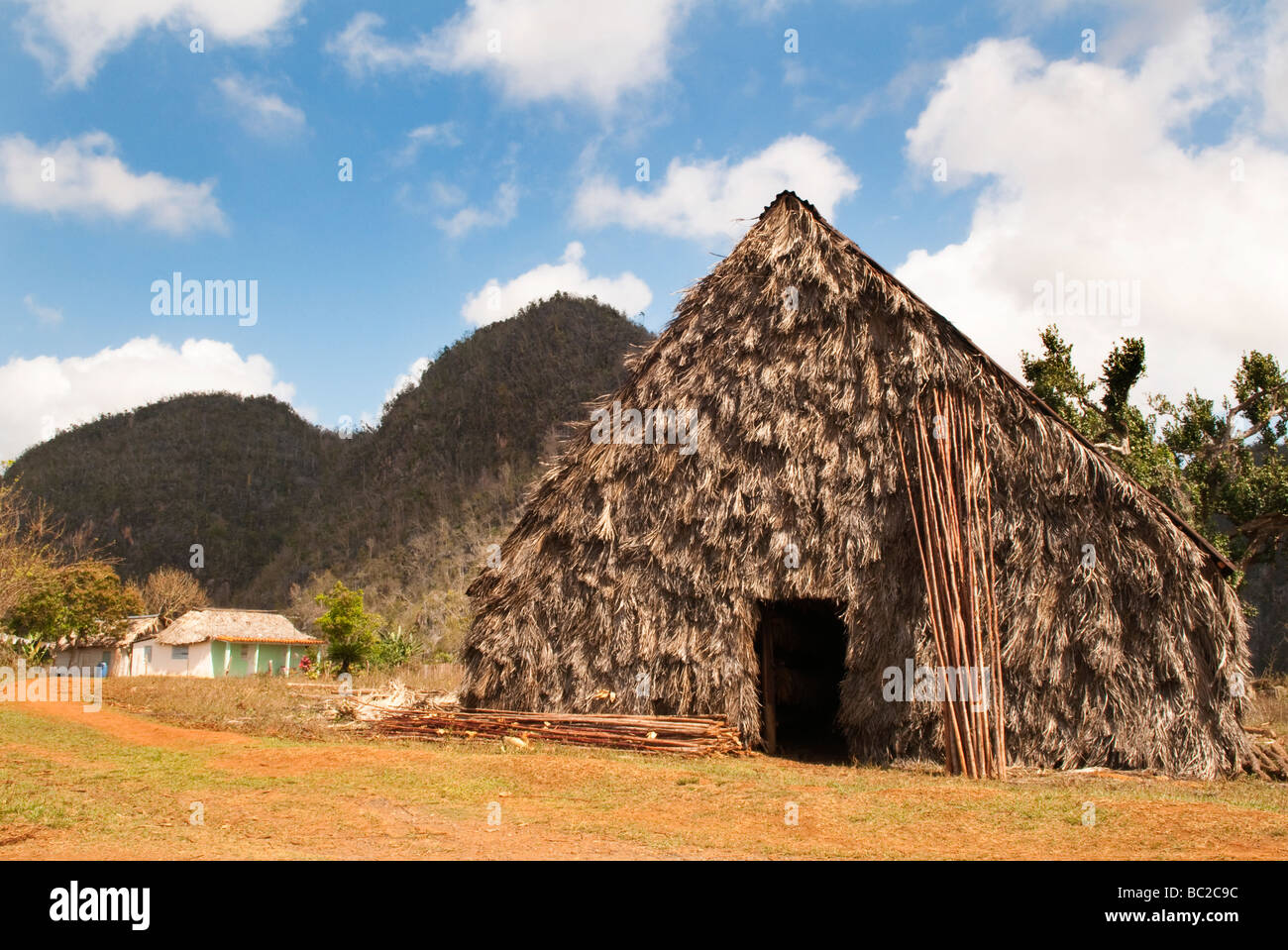 Tabak-Bauernhof in Vinales Tal, Kuba, Karibik Stockfoto