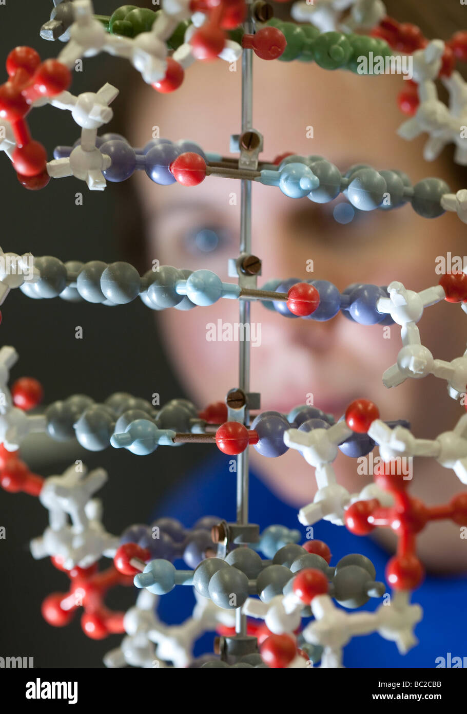 Studenten sitzen hinter einem DNA-Modell an der Max-Planck-Institut in Berlin Stockfoto