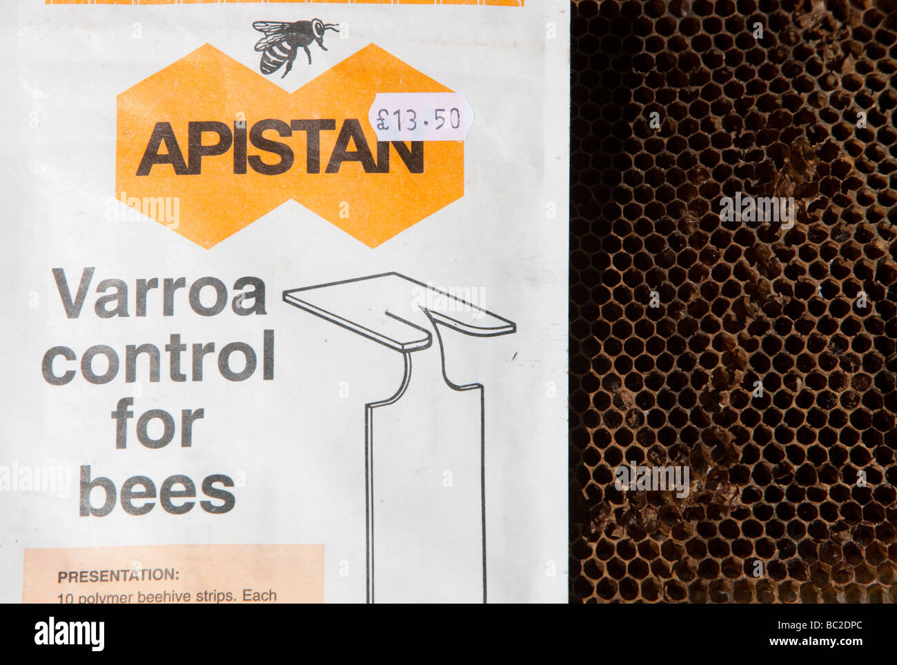 Apistan wird verwendet, um die Vaoa Milbe in den Bienenstöcken in Cockermouth Cumbria UK bekämpfen Stockfoto