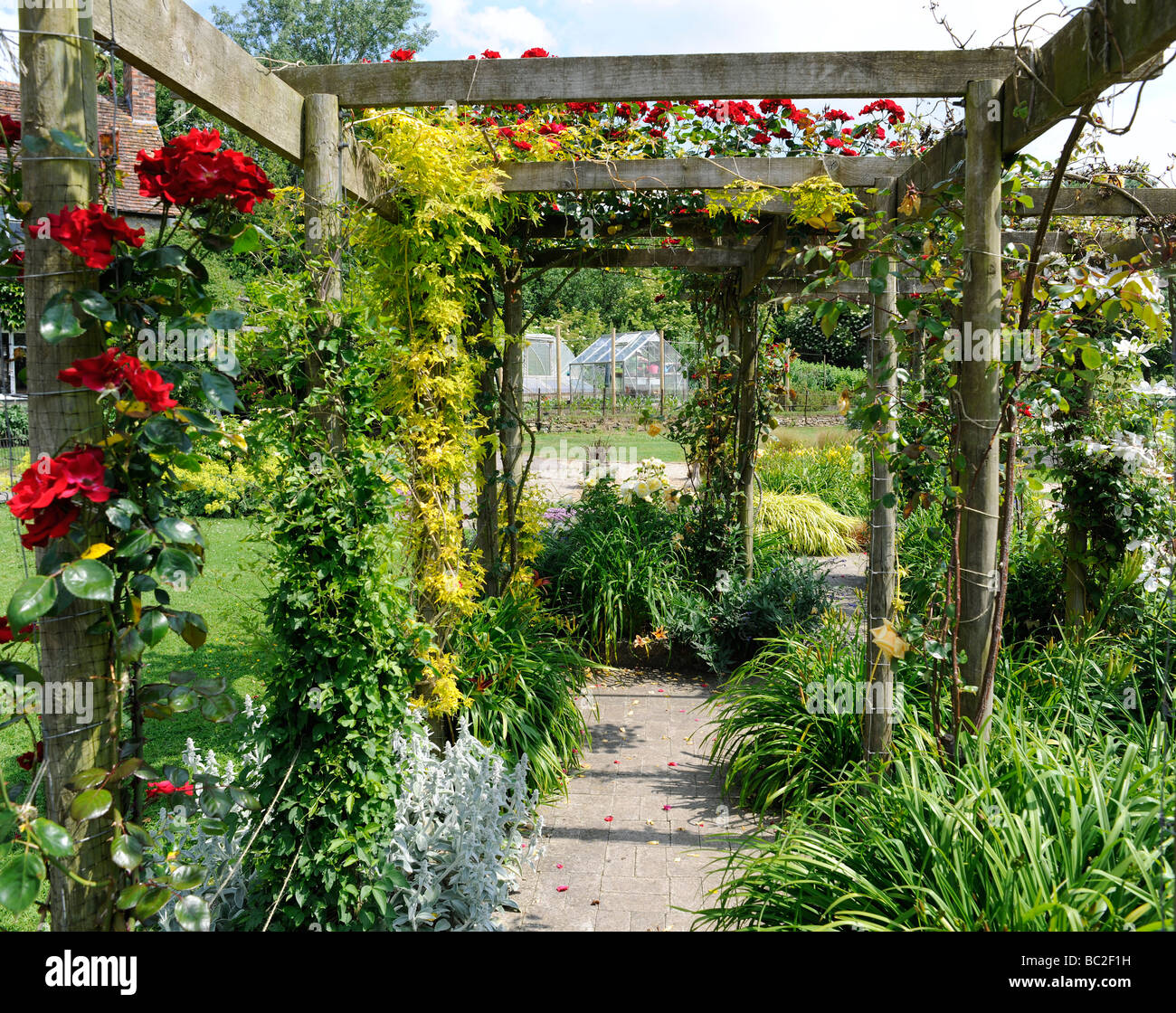 Englischer Garten mit Rosen auf einer Pergola in Somerset Stockfoto