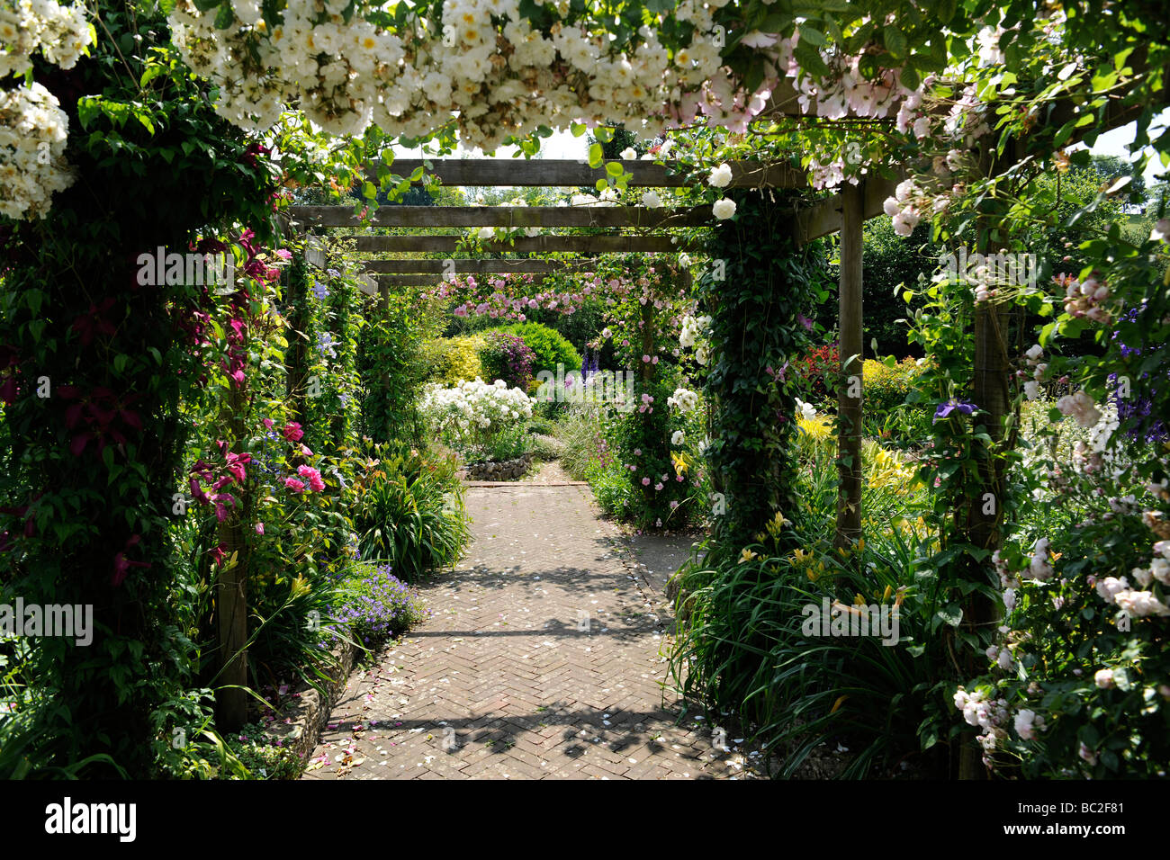 Englischer Garten mit Rosen auf einer Pergola in Somerset Stockfoto