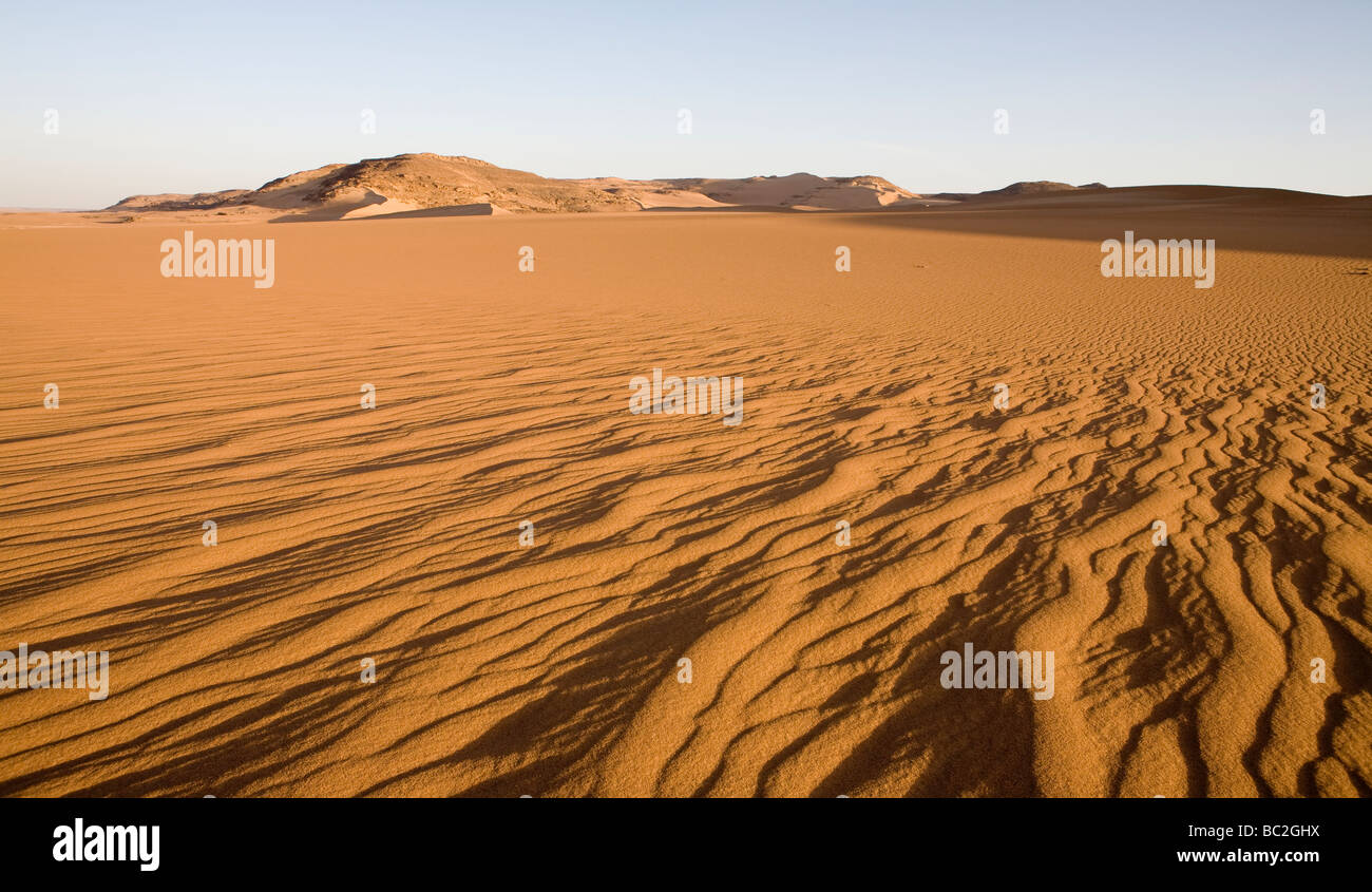Panorama der Wind erodiert Wüstenboden mit Graten in Schuss und entfernten Sanddünen, Östliche Wüste, Ägypten, Afrika Stockfoto