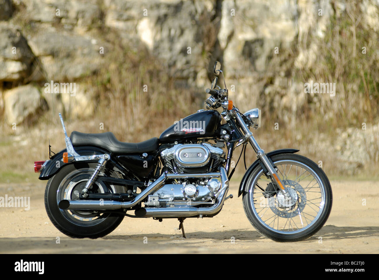 Harley Davidson 1200 Stockfoto