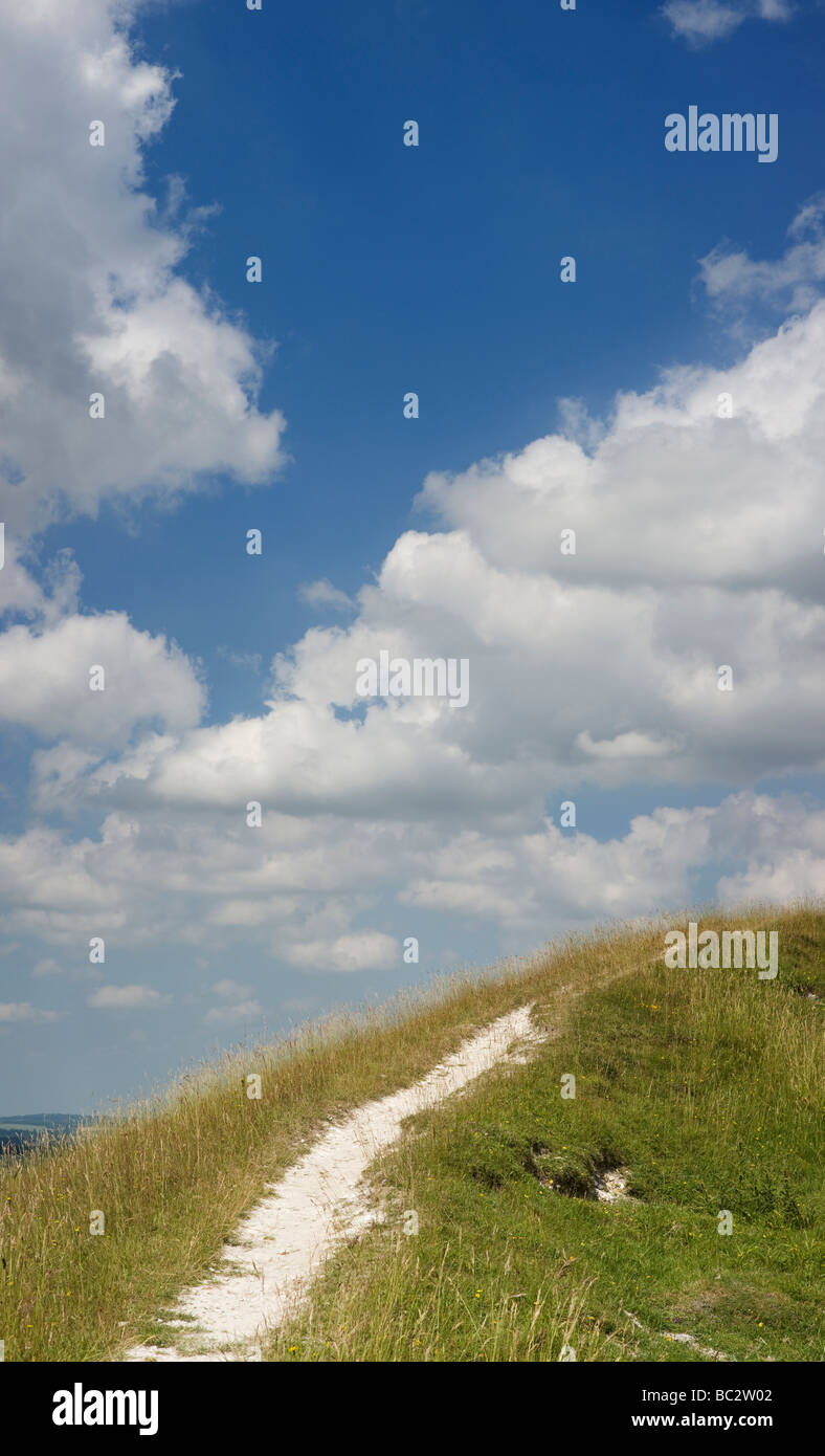 Chalk weg auf Chiltern Hills. Aston Rowent, den Chilterns, Buckinghamshire, England Stockfoto