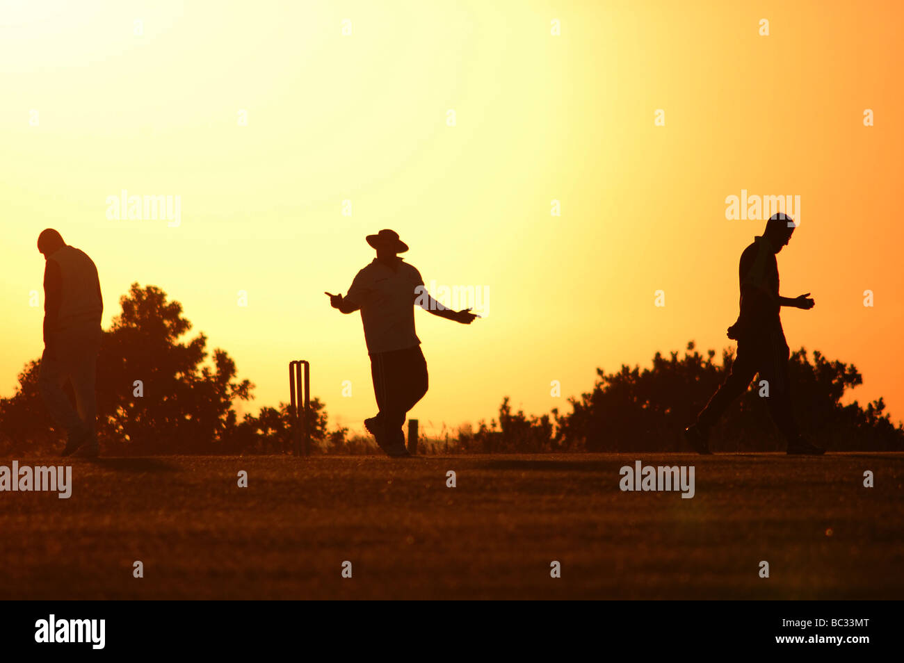 Schiedsrichter und zwei Cricket-Spieler an einem Sommerabend. Stockfoto