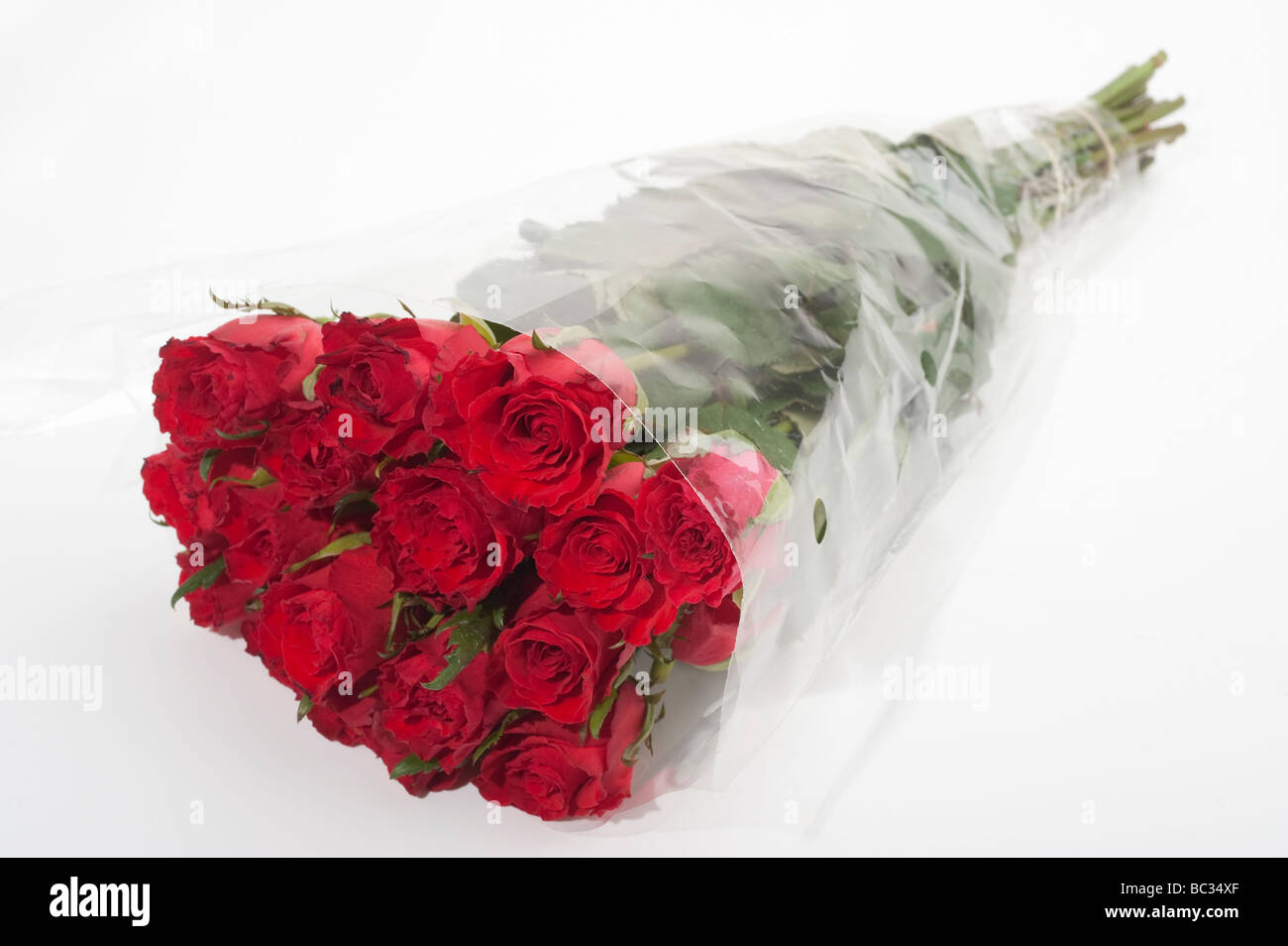Strauß roter Rosen in klaren Zellophan eingewickelt Stockfoto
