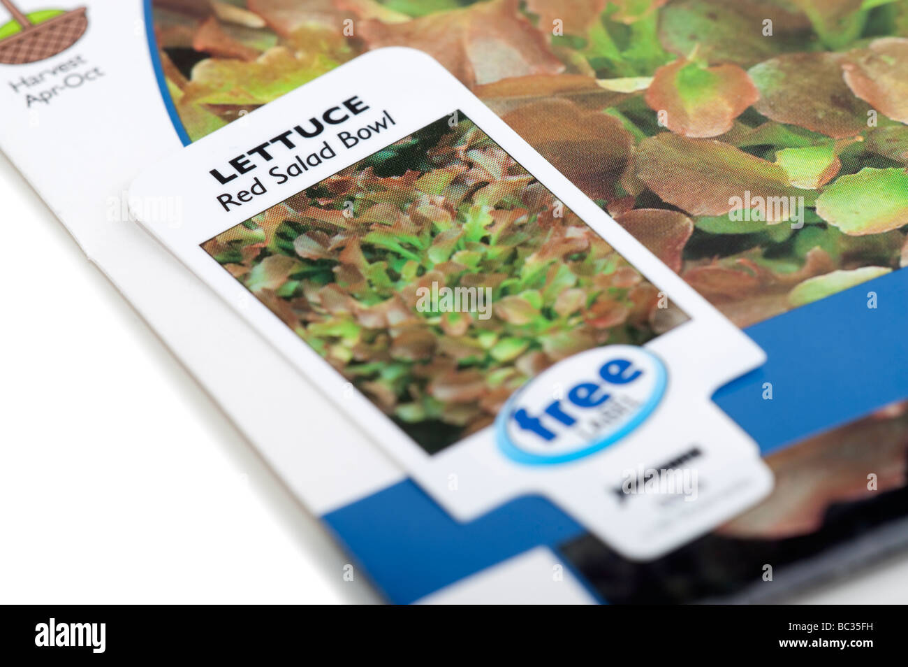 Paket von 'Red Salad Bowl' Salatsamen und label Stockfoto