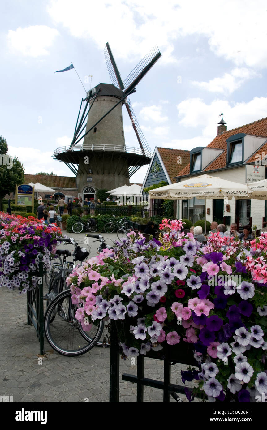 Windmühle und Blumen in Sluis Holland Stockfoto