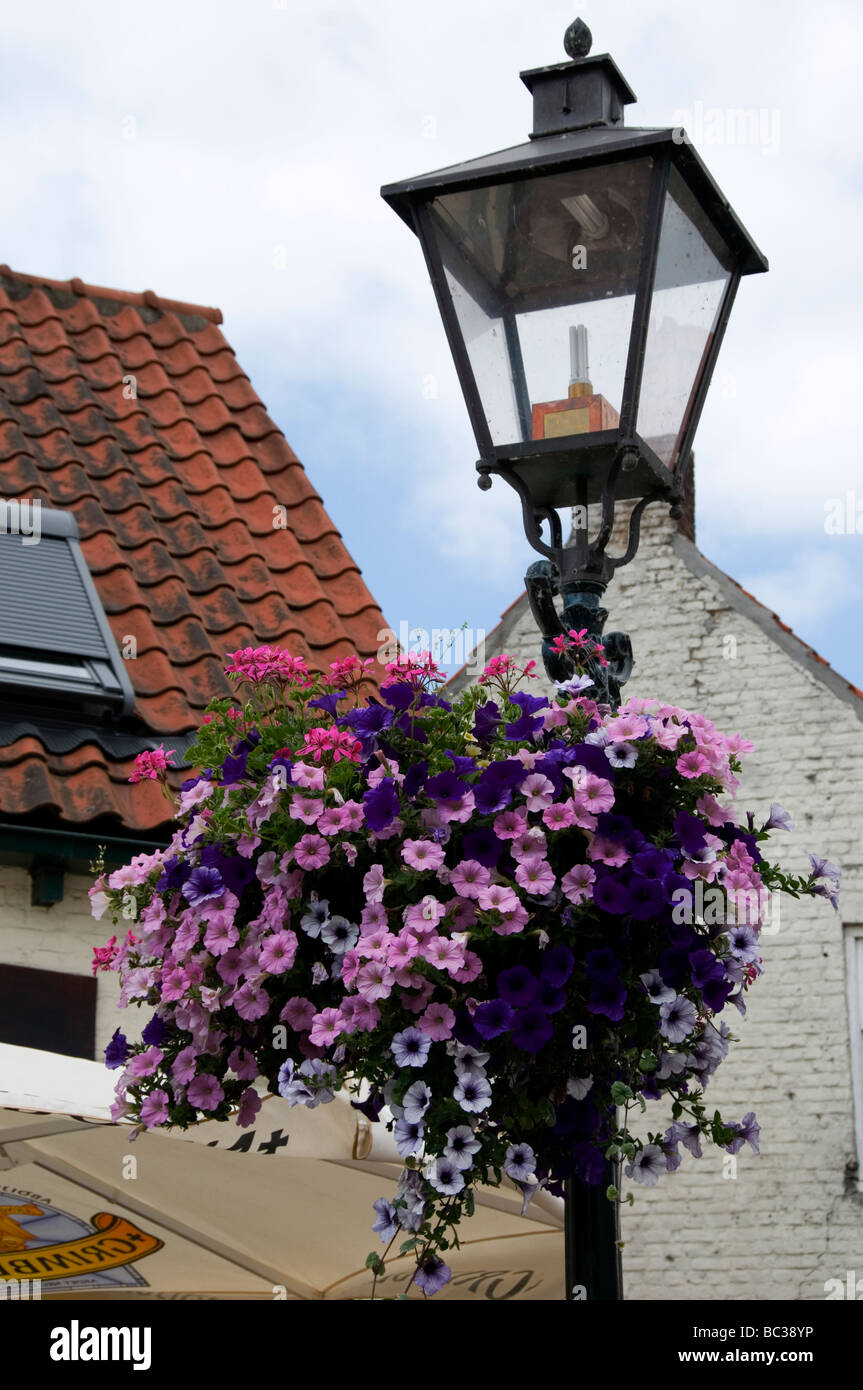Straßenlaterne in Sluis Holland mit Blumen Stockfoto
