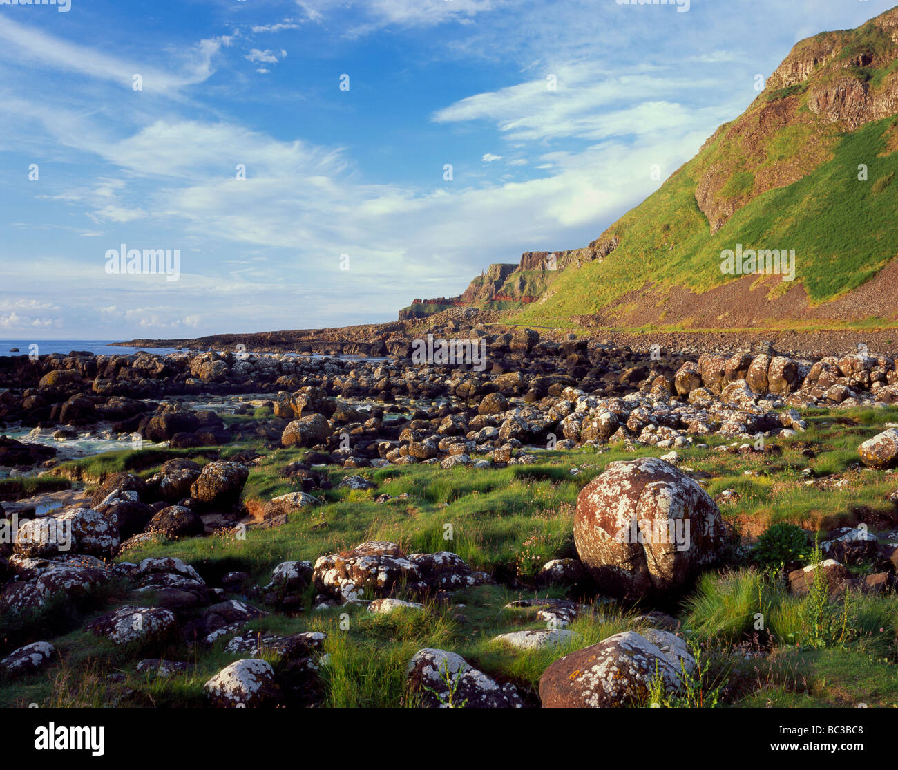 Die Giants Causeway aus dem Westen Stockfoto