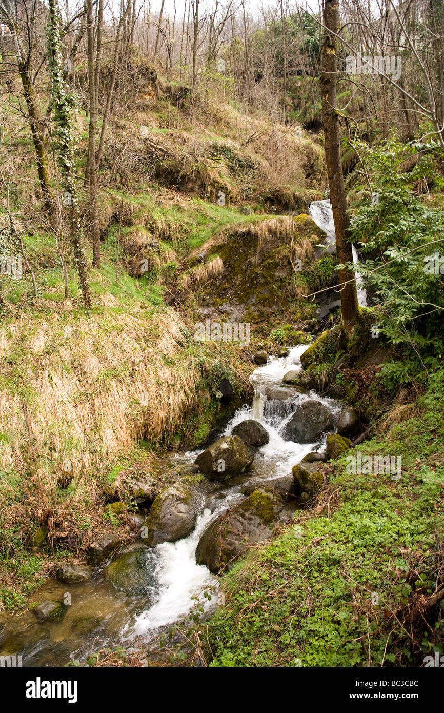 Ein kleiner Nebenfluss Bach läuft aber ein bewaldetes Gebiet. Stockfoto