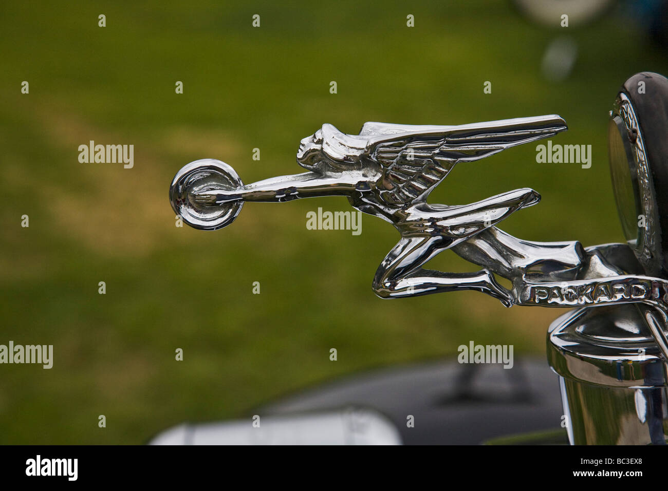 Kühlerfigur auf einem Packard Los Angeles Concours d Eleganz Stockfoto