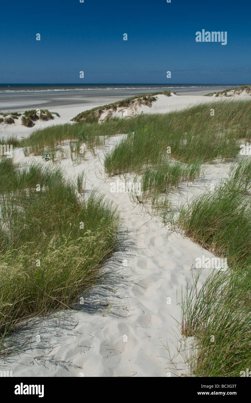 White Sand Strand von Le Touquet Nordfrankreich Stockfoto