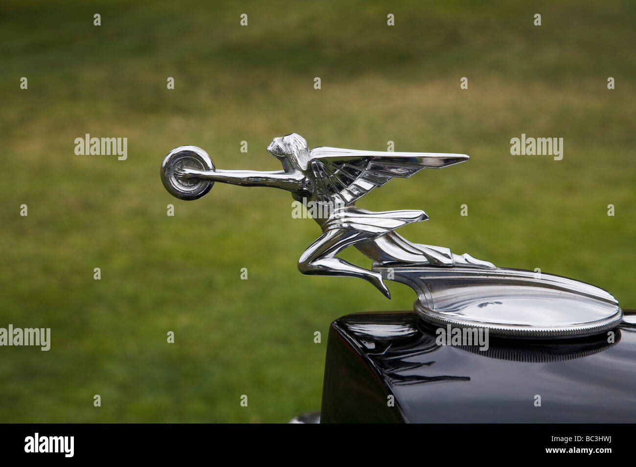 Kühlerfigur auf einem Packard Los Angeles Concours d Eleganz Stockfoto