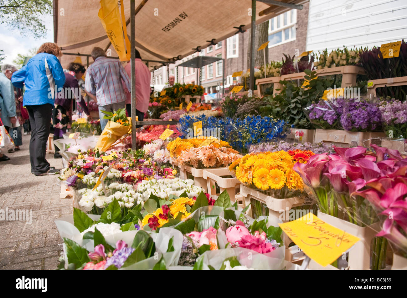 Blumen zum Verkauf an den Nieuwmarkt, Amsterdamer Blumenmarkt Stockfoto