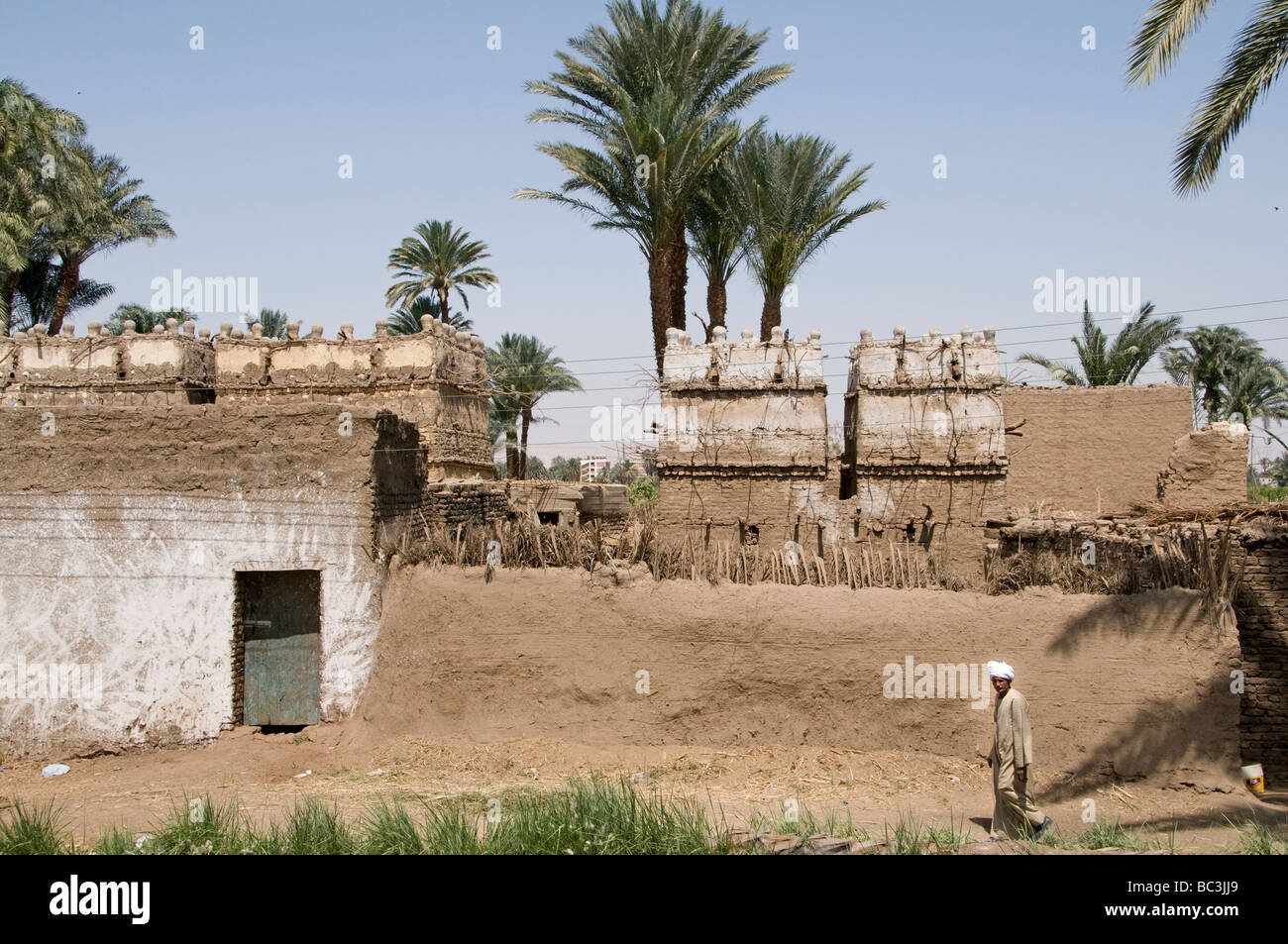 Nile River Ägypten Bauernhof Landwirtschaft Feld alte Bauerndorf auf dem Nil Stockfoto