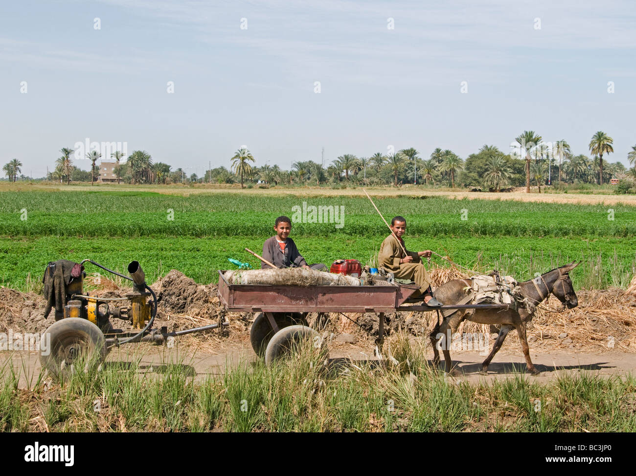 Nile River Ägypten Bauernhof Landwirt Landwirtschaft Feld zwei jungen Esel Warenkorb Wasserpumpe Stockfoto