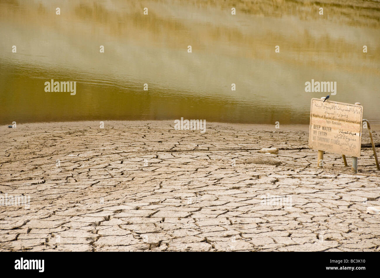 Ausgetrockneten Wadi in Oman Stockfoto