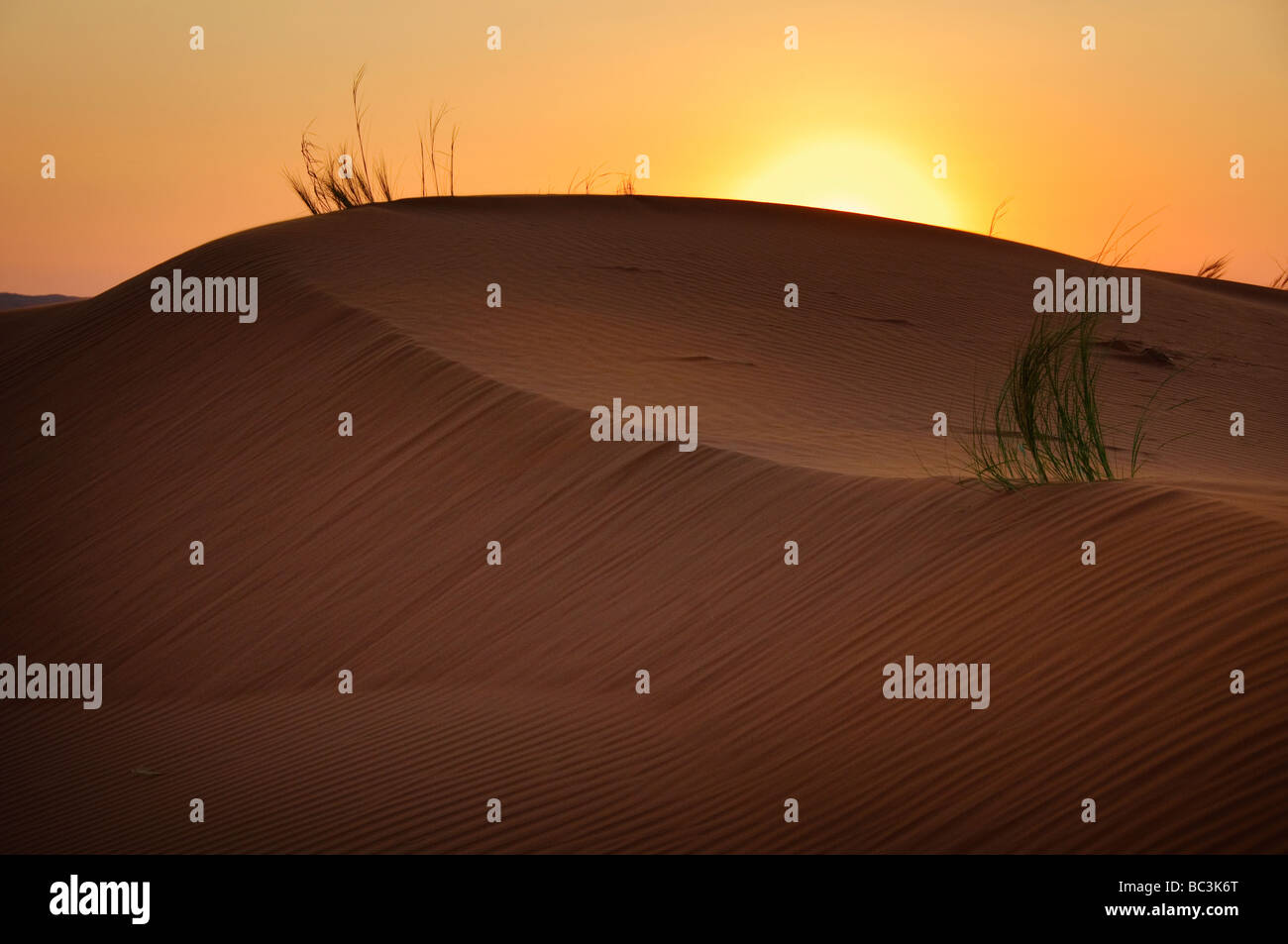 die schönen Sand-Dünenlandschaft des Sossusvlei Nationalparks in Namibia bei Sonnenuntergang Stockfoto