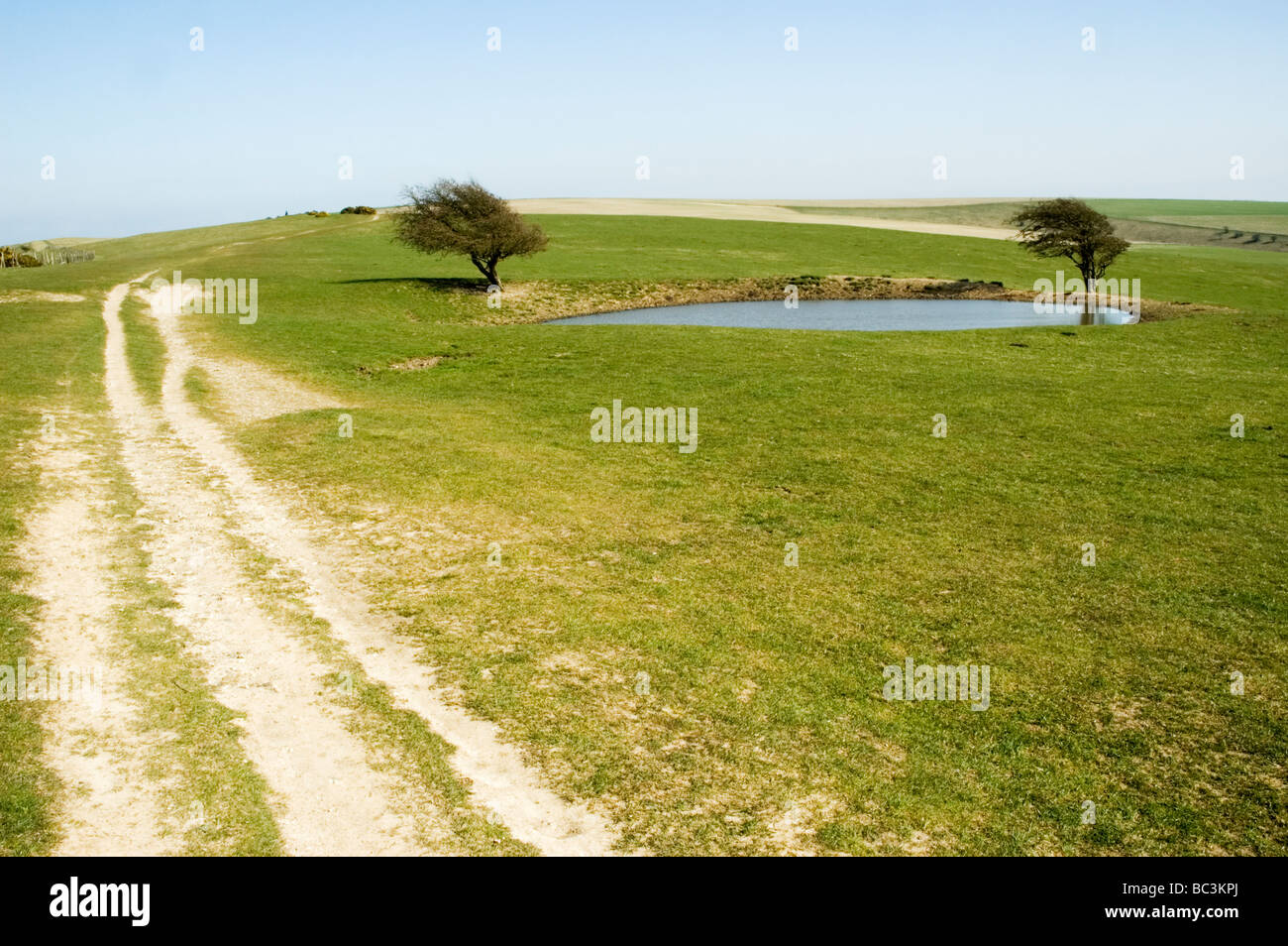Die South Downs Way, vorbei an einem Tau Teich, Sussex, England Stockfoto
