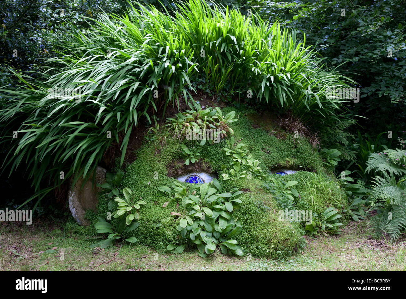 Der Riese Kopf, Heligan Gärten, in der Nähe von Mevagissey, Cornwall, UK Stockfoto