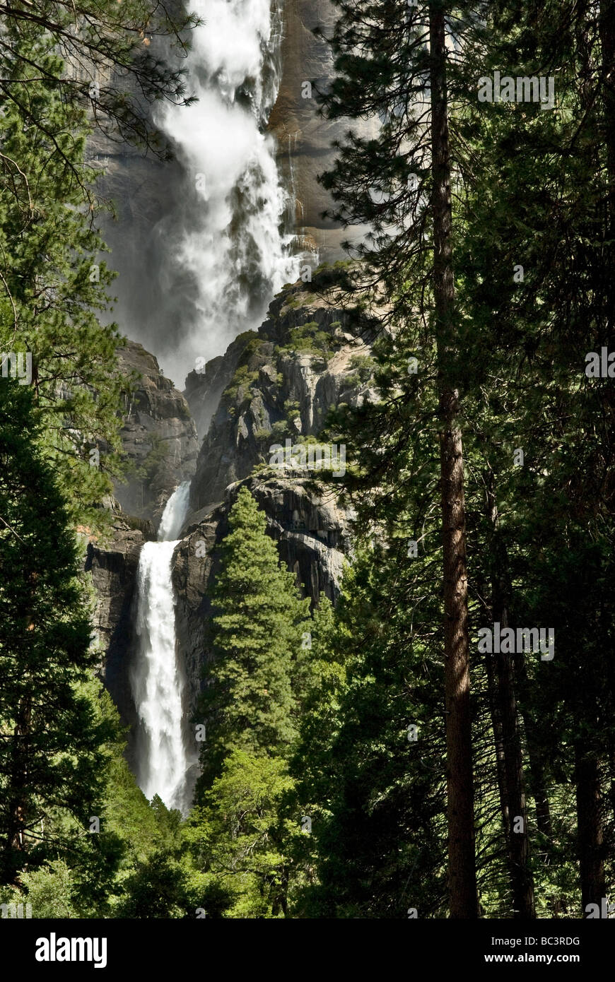 Wasser stürzt sich der steilen Felswand im Yosemite-Nationalpark, die Aussicht ist durch die Bäume und seht ihr zwei Wasserfälle. Stockfoto