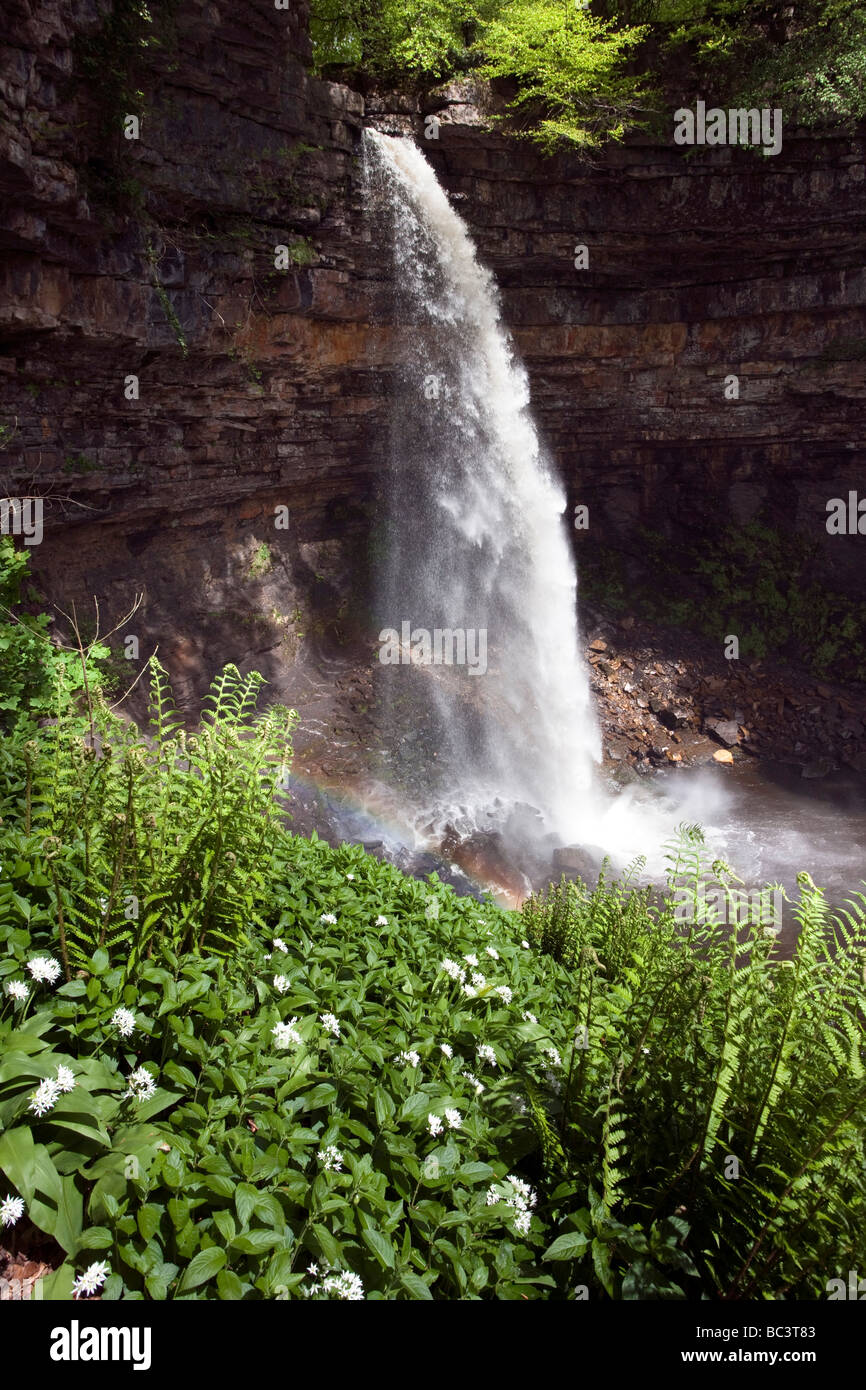 Hardraw Kraft angeblich Englands höchste Freefall Wasserfall obere Wensleydale Yorkshire Dales National Park Stockfoto