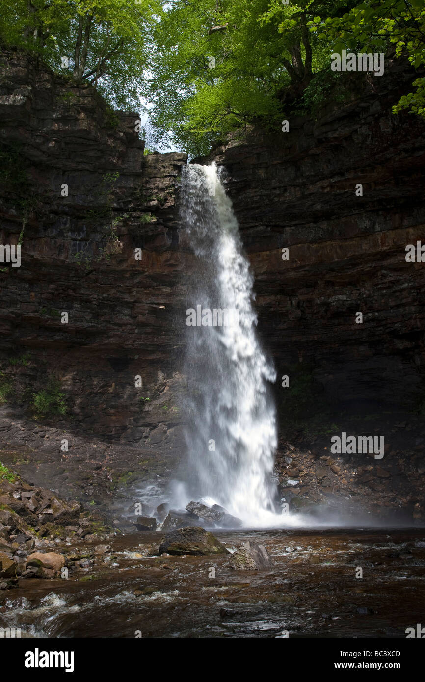 Hardraw Kraft angeblich Englands höchste Freefall Wasserfall obere Wensleydale Yorkshire Dales National Park Stockfoto