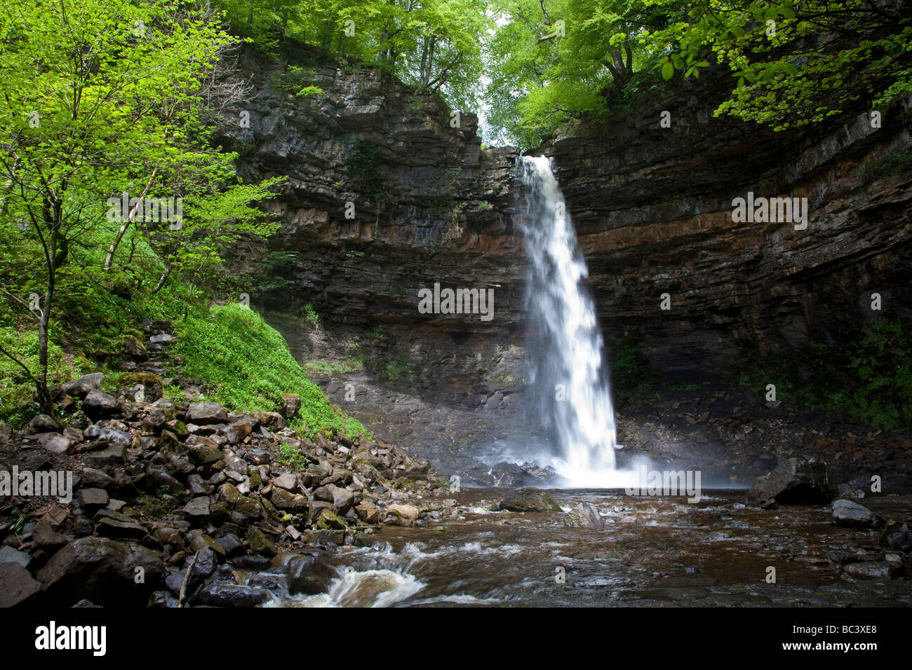 Hardraw Kraft angeblich Englands höchste Freefall Wasserfall obere Wensleydale Yorkshire Dales National Park Stockfoto