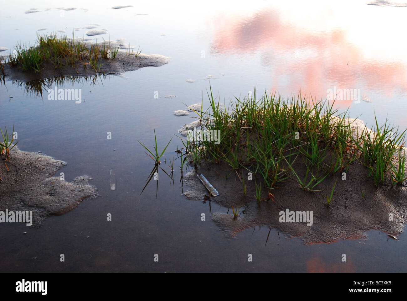 Sonnenuntergang Reflektionen im Gezeitenbecken Stockfoto