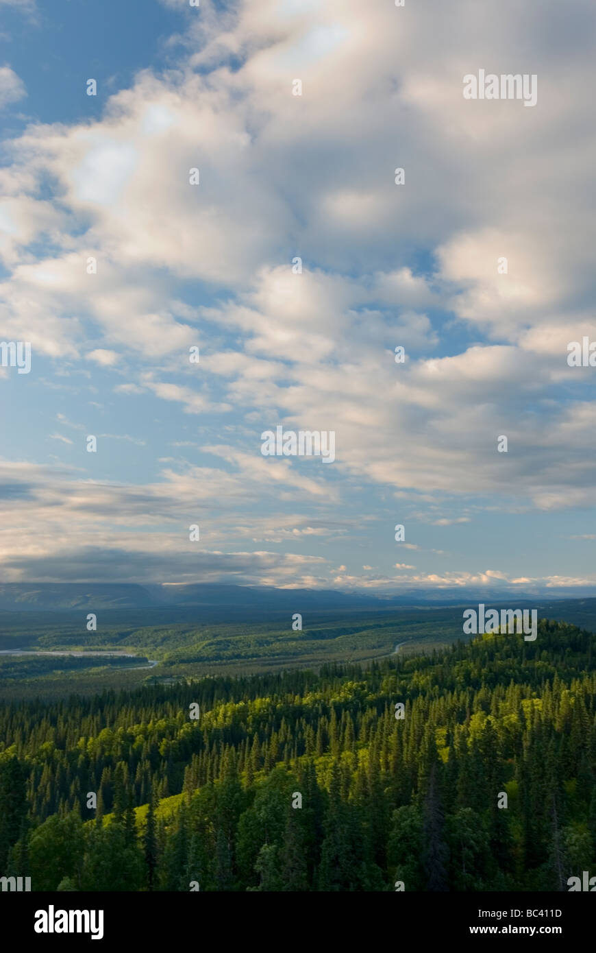 Kesugi Ridge Denali State Park Alaska Stockfoto