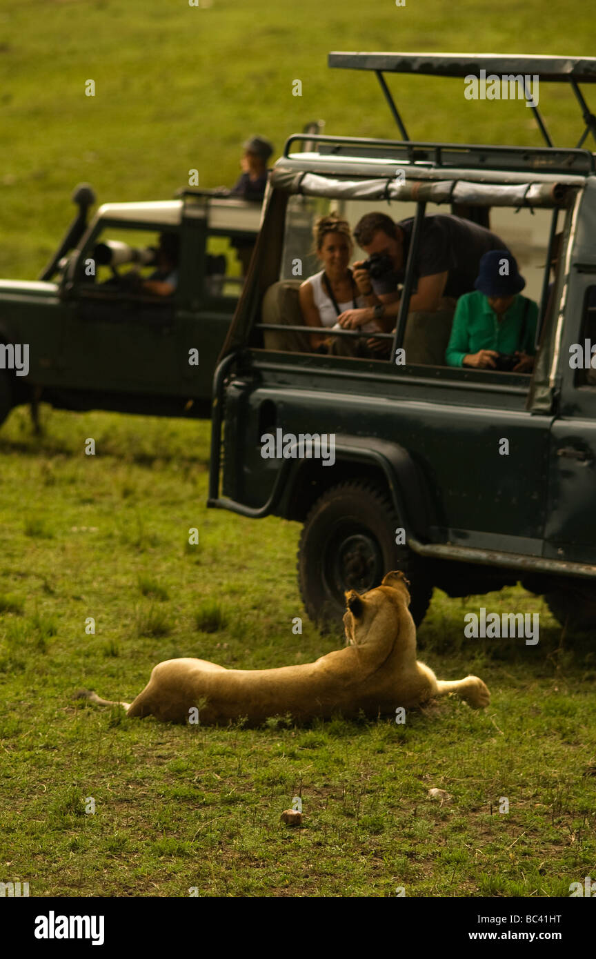 Touristen beobachten eine Löwin (Panthera leo) im Masai Mara Game Reserve, Kenia Stockfoto