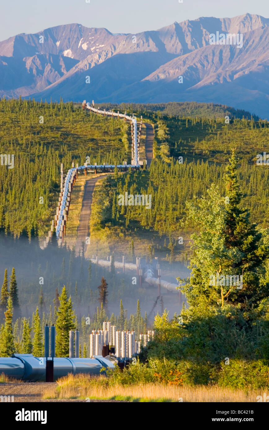 Alaska-Erdöl-Pipeline durch die zentralen Alaska Range Stockfoto