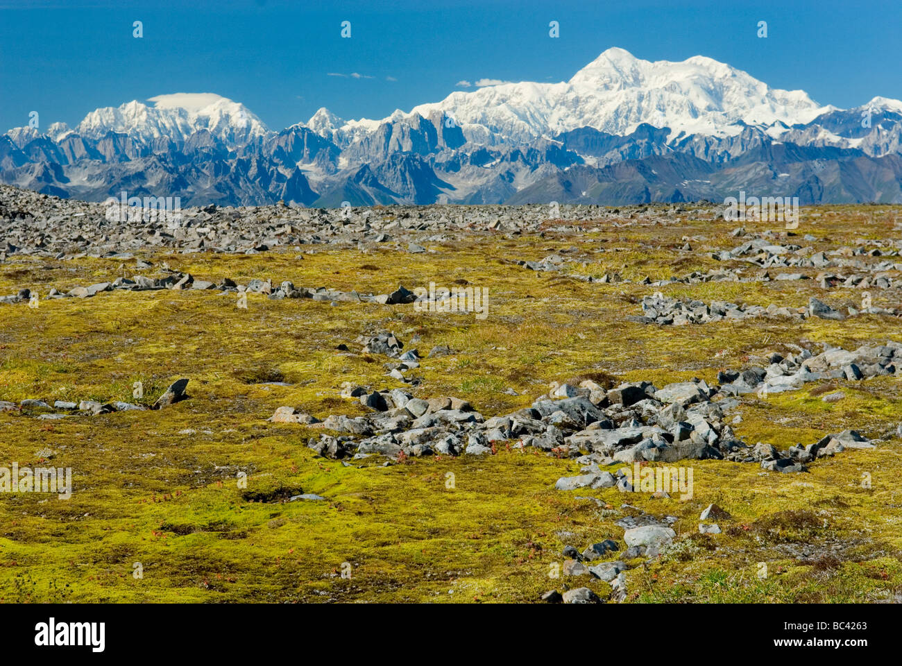 Alaska Range von Kesugi Ridge Denali State Park Alaska Stockfoto