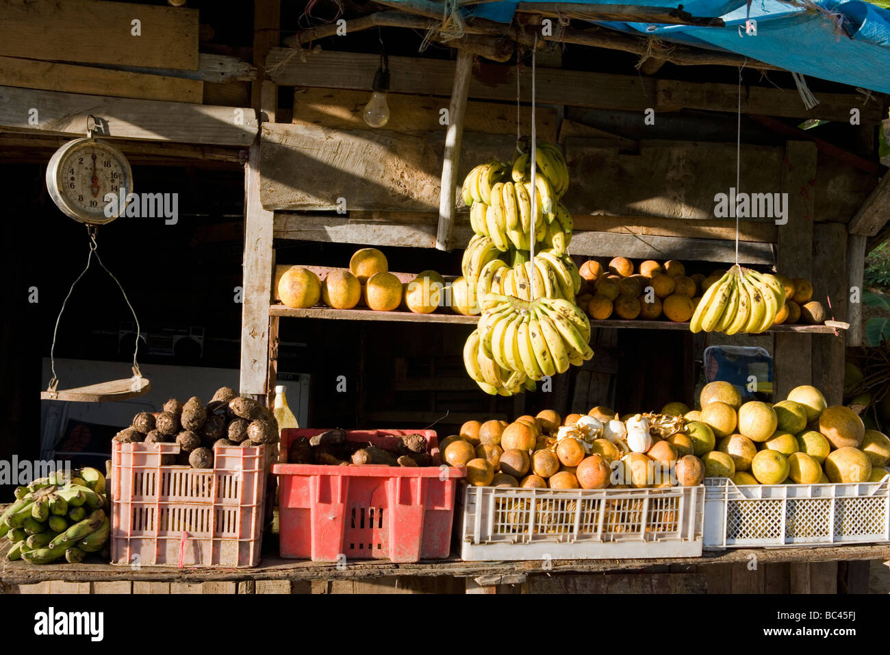 Dominikanische Republik - Nordküste - marktfähige Früchte und Gemüse Stockfoto