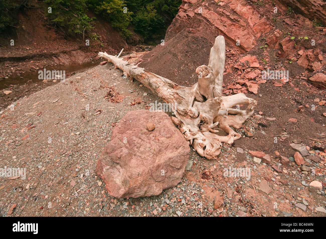 "Trümmer" nur inshore Wasson Bluff in der Nähe von Amherst, Mina-Becken, Bay Of Fundy, Nova Scotia, Ostkanada. Stockfoto
